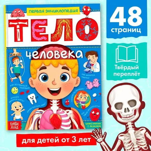 Энциклопедия "Тело человека" 48 стр., детская энциклопедия, книги для детей | Соколова Юлия Сергеевна