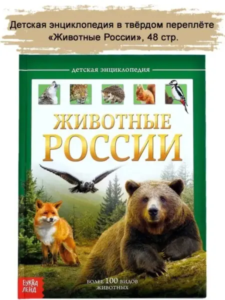 Славный малыш Детская энциклопедия "Животные России", 48 стр