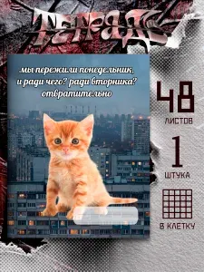 Тетрадь мем с котом мы пережили понедельник, 48 листов