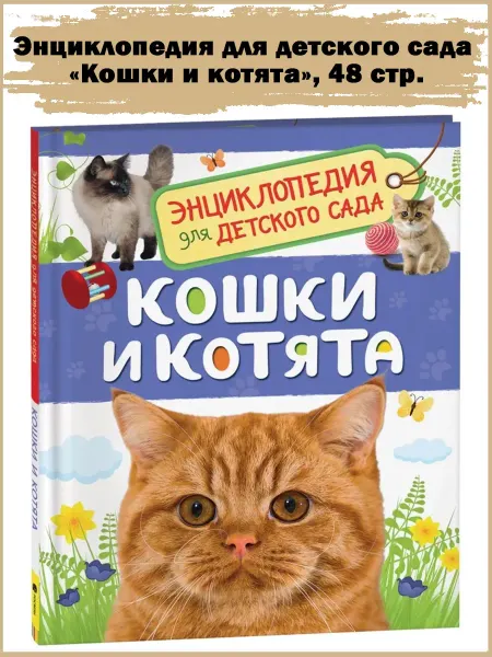 Славный малыш Энциклопедия для детского сада Кошки и котята, 48 стр