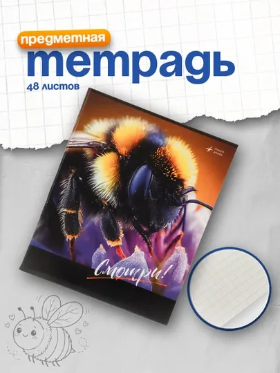 Тетрадь 48 листовая, А5, клетка BG "Смотри", суперэконом