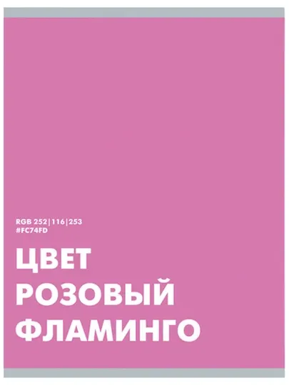 Набор Тетрадей A5, 48 листов, 5 шт, в клетку, для школы и студентов, произведено в России