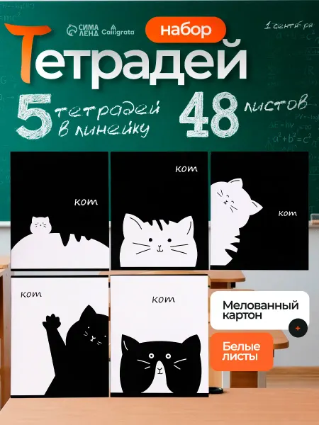 Calligrata Тетрадь для школы, 48 листов, линия, 5 штук