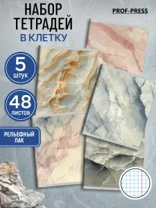 Prof-Press Тетрадь 48 листов в клетку набор 5 штук