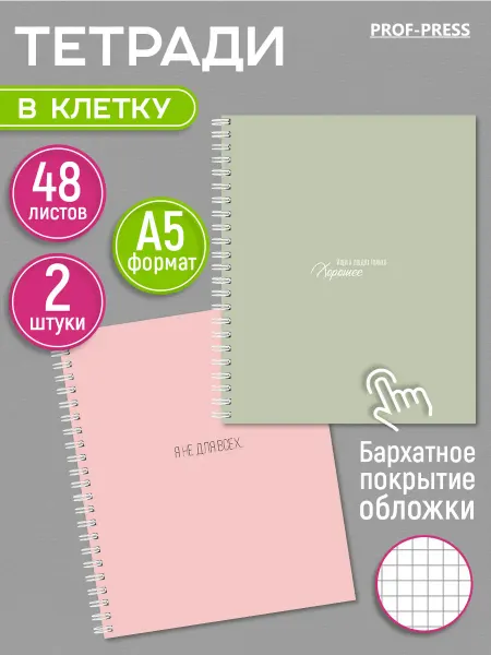Prof-Press Тетрадь в клетку 48 листов на пружине 2 штуки