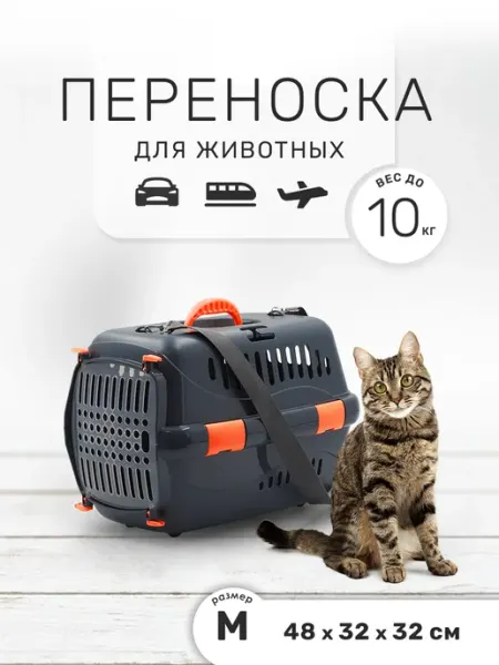 Zooset Переноска для кошек и собак мелких пород, 48х32х32 см