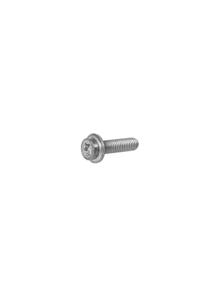 VAG (VW/Audi/Skoda/Seat) Винт с TORX фазорегулятора VAG N91173601