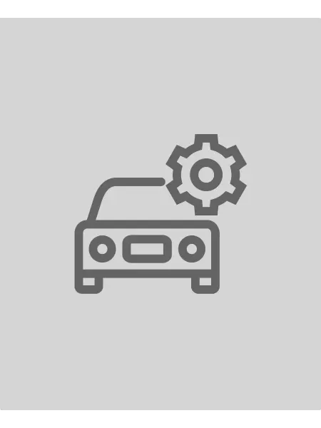 GARDE Колпаки R-13 Галакси Silver карбон 2шт LW1303
