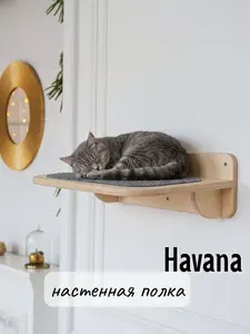 Настенная полка для кошек с ковролином Tacwood "Havana" 48x30 см