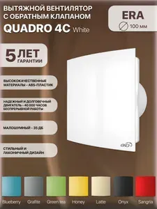 Вентилятор вытяжной с обратным клапаном Quadro 4C, D100 ,