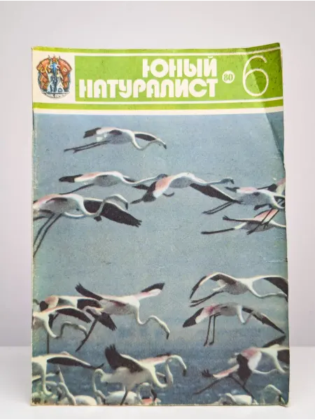 БУКИТИР Юный натуралист. № 6 1980