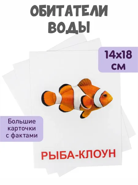 KoroBoom Обучающие карточки Домана "Обитатели воды" Всезнайка