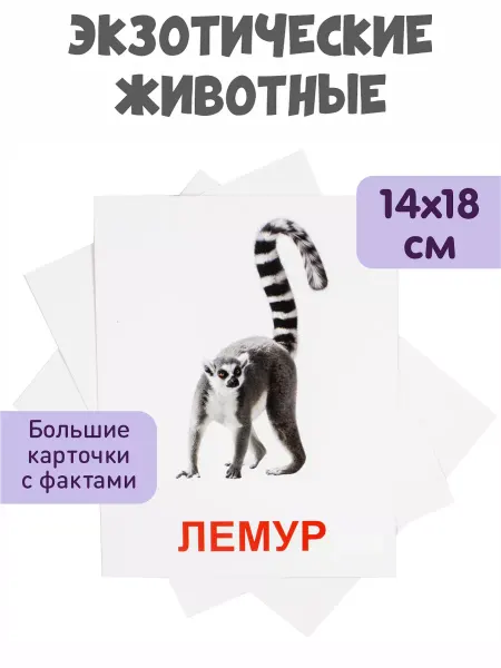 KoroBoom Обучающие карточки Домана Экзотические животные Всезнайка