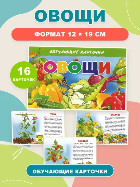 ЛитУр Обучающие карточки Овощи А5, 16 штук