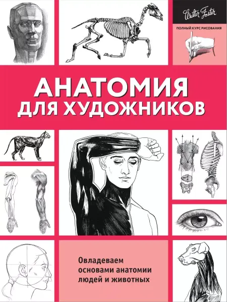 Издательство АСТ Голдман, Фостер, Пауэлл Анатомия для художников