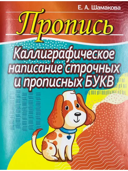 ПринтБук Пропись-тренажер по чистописанию. Написание букв