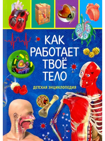 Владис Как работает твое тело. Детская энциклопедия