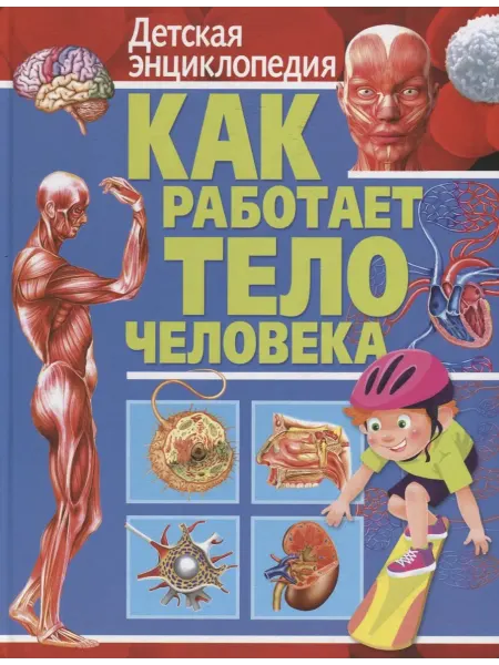 Владис Как работает тело человека. Детская энциклопедия