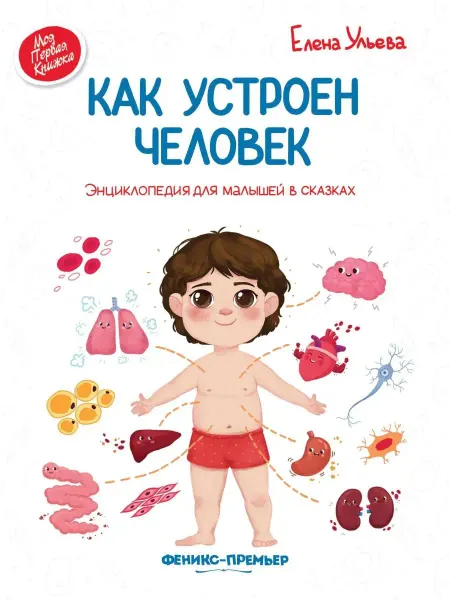 Феникс-премьер Как устроен человек. Энциклопедия для малышей в сказках