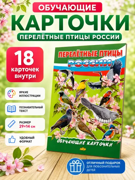 ЛитУр Набор карточек Перелётные птицы России