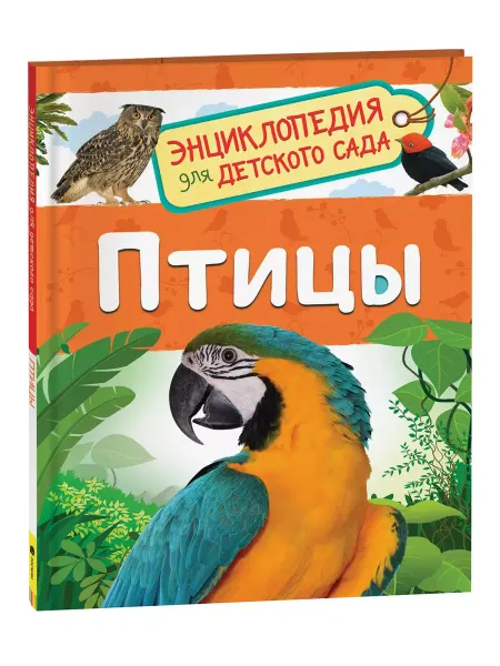 Учёный кот Птицы (Энциклопедия для детского сада)