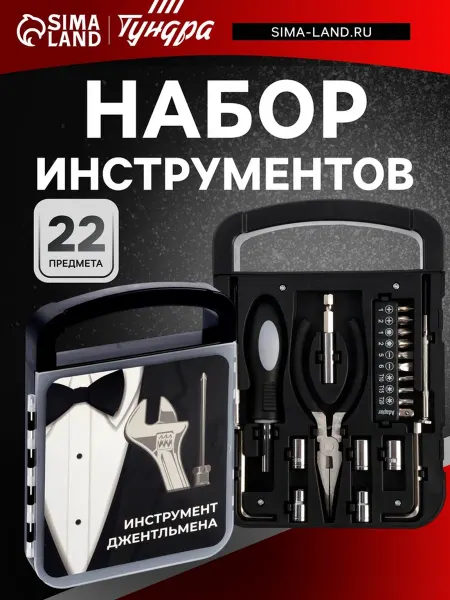 Набор инструментов ТУНДРА, подарочный пластиковый кейс, 22