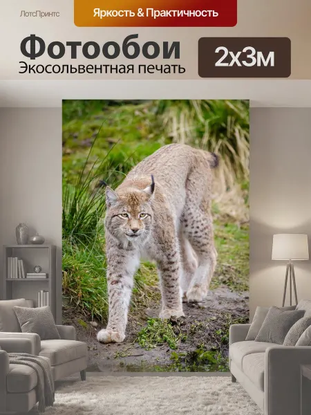 LotsPrints Фотообои "Рысь, feline, млекопитающее" 2x3м