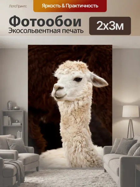LotsPrints Фотообои "Альпака, животное, не замужем" 2x3м