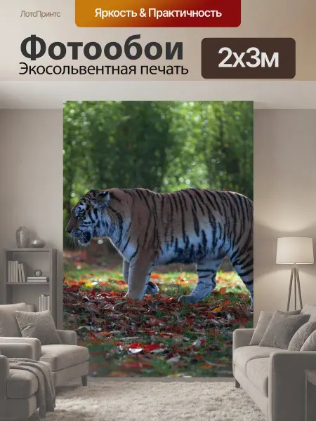 LotsPrints Фотообои "Амурский тигр, тигр, хищник" 2x3м