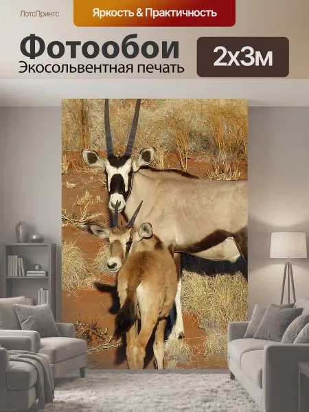 LotsPrints Фотообои "Орикс, антилопа, намибия" 2x3м