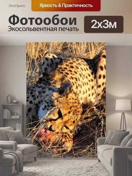 LotsPrints Фотообои "Гепард, африке, намибия" 2x3м