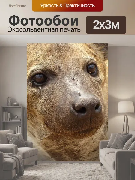 LotsPrints Фотообои "Гиена, танзания, африке" 2x3м