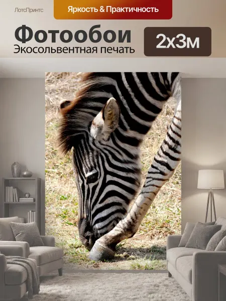 LotsPrints Фотообои "Зебра, дикое животное, африке" 2x3м