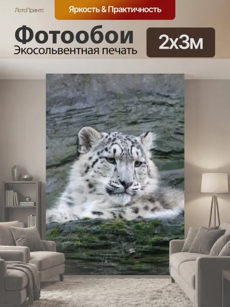 LotsPrints Фотообои "Снежный барс, животные, природа" 2x3м