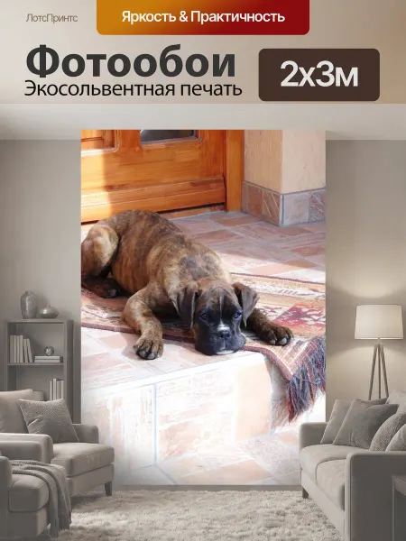 LotsPrints Фотообои "Собака, боксер, щенок" 2x3м