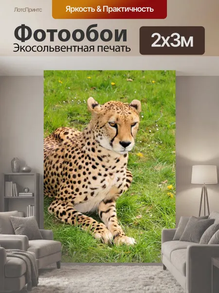 LotsPrints Фотообои "Дикий кот, большой игровой кот, гепард" 2x3м