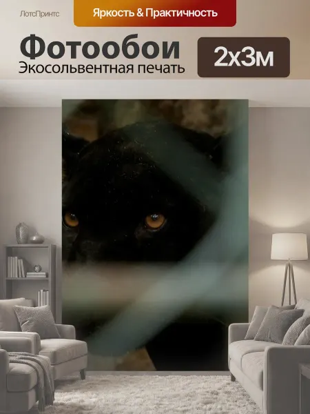 LotsPrints Фотообои "Большой кот, пантера, смотрящий" 2x3м