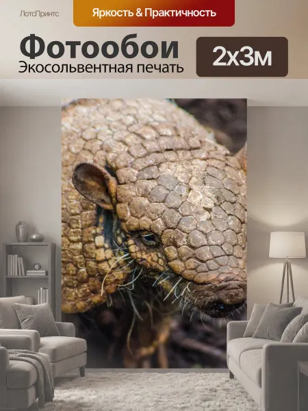 LotsPrints Фотообои "Броненосец, зоопарк, животное" 2x3м