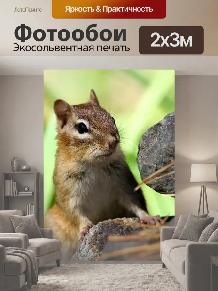 LotsPrints Фотообои "Бурундук, грызун, животное" 2x3м