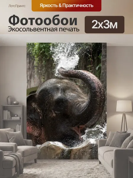 LotsPrints Фотообои "Слон, вода, купание" 2x3м