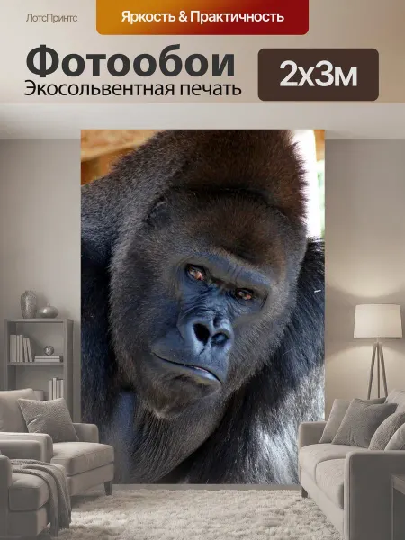 LotsPrints Фотообои "Животное, горилла, погрузчик" 2x3м