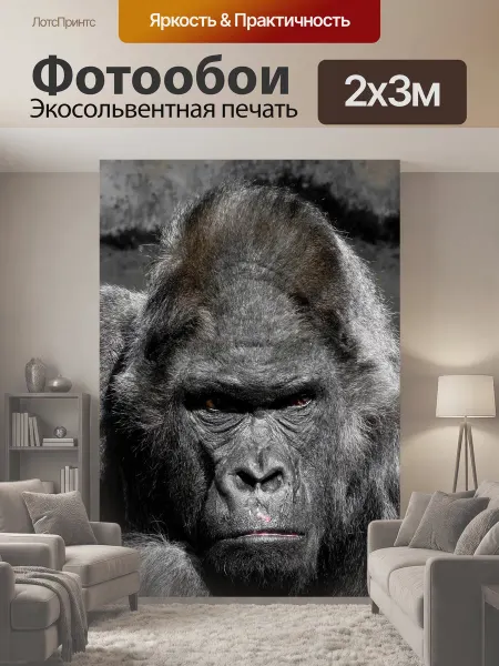 LotsPrints Фотообои "Горилла, обезьяна, зоопарк" 2x3м