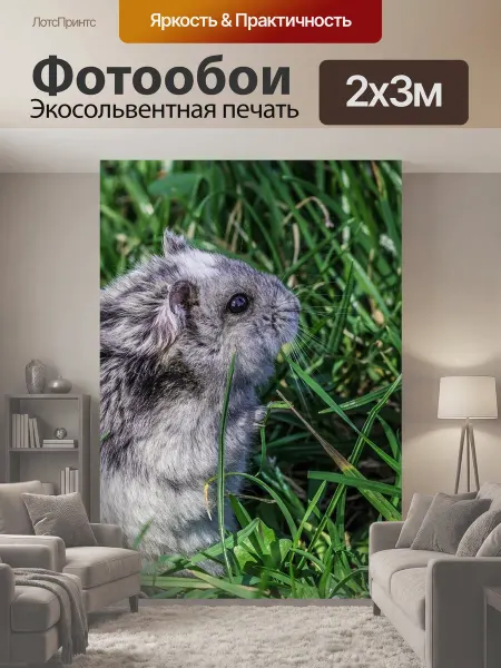 LotsPrints Фотообои "Хомяк, грызун, животное" 2x3м