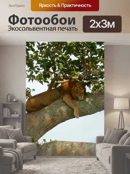 LotsPrints Фотообои "Уганда, лев, дерево лев" 2x3м