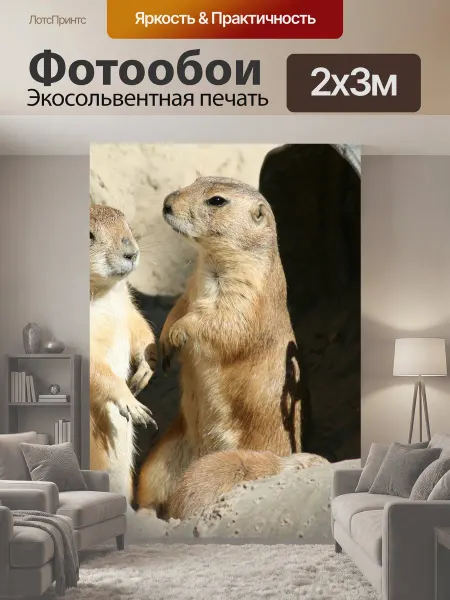 LotsPrints Фотообои "Луговые собачки, зоопарк, животное" 2x3м