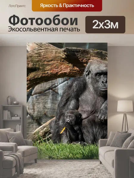 LotsPrints Фотообои "Зоопарк, обезьяна, животное" 2x3м