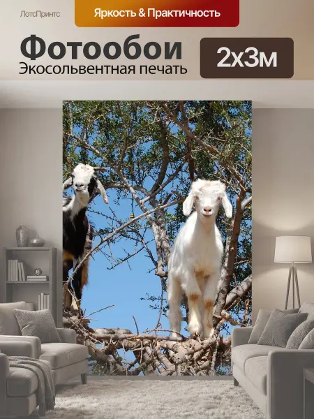 LotsPrints Фотообои "Животное, козы, природа" 2x3м