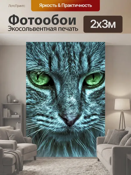 LotsPrints Фотообои "Кот обои фон кошка кошка животное." 2x3м