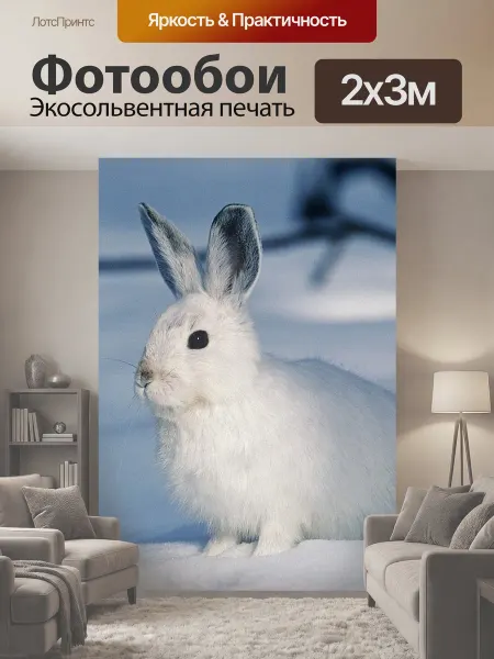LotsPrints Фотообои "Белый, кролик, животное" 2x3м