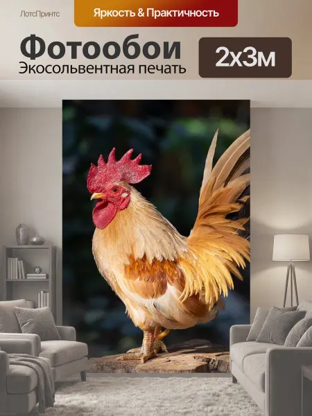 LotsPrints Фотообои "Петух, курица, животное" 2x3м
